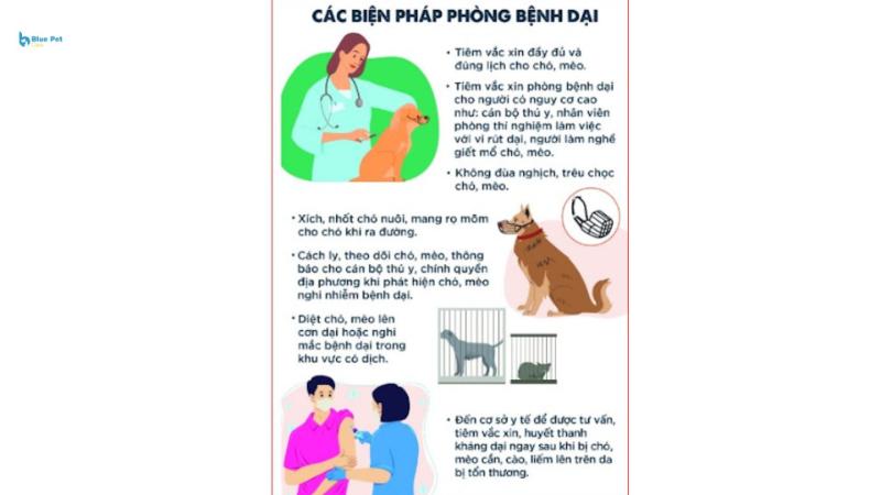 Bệnh dại ở chó